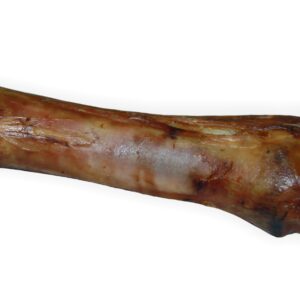 Kość wołowa M
